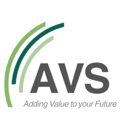 AVS Consulting